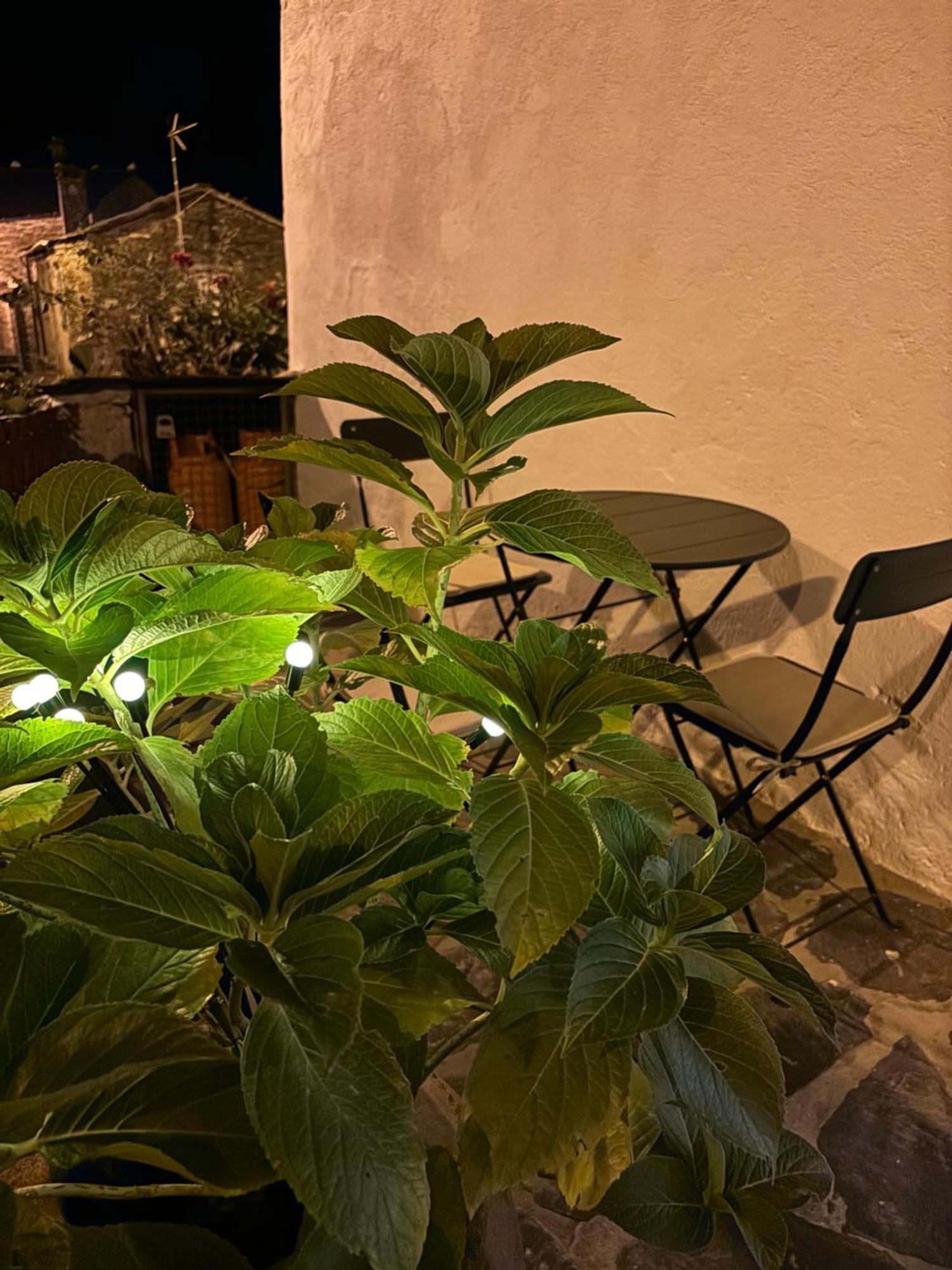 Encanto De Xisto Piódão Exterior foto